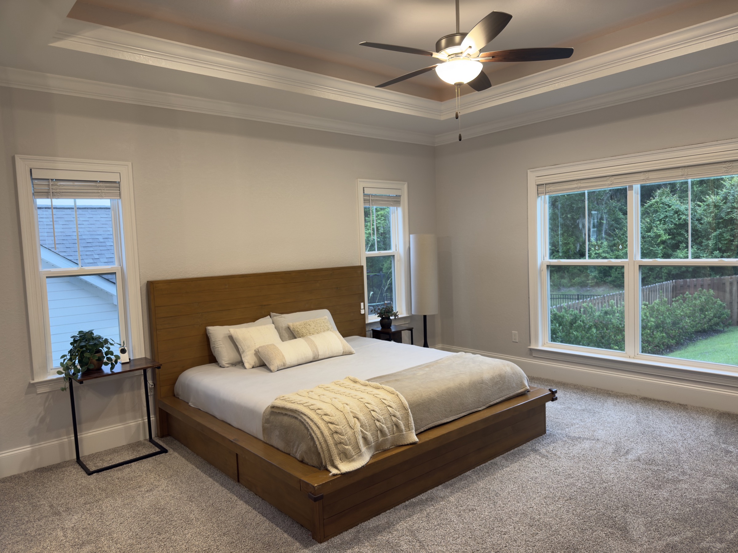 Primary bedroom with tray ceiling and backyard views